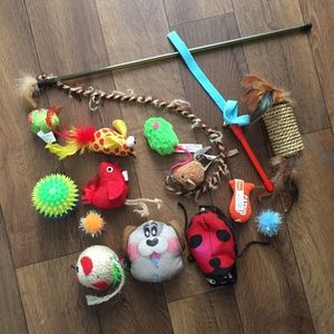 Random Cat Toys